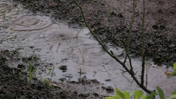 Product picture Water 109