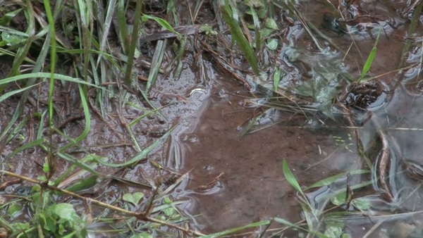 Product picture Water 117