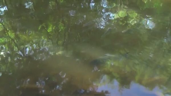 Product picture Water 118