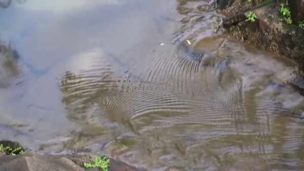 Product picture Water 120