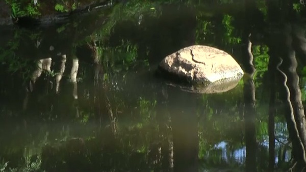 Product picture Water 123