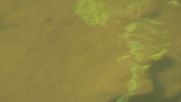 Product picture Water 128