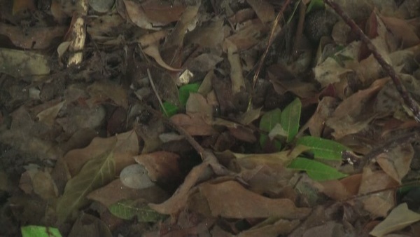 Product picture Water 129