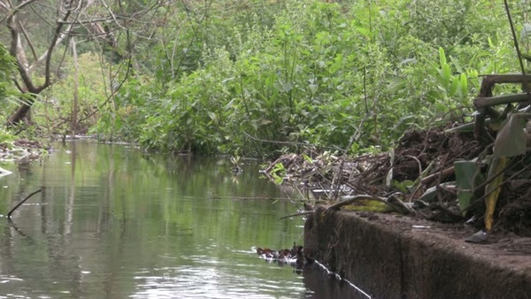 Product picture Water 135